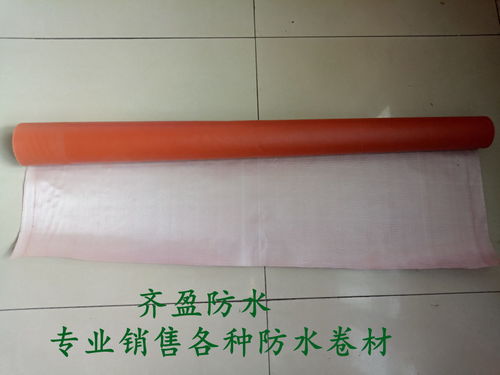  盐津县 js防水乳液齐盈防水